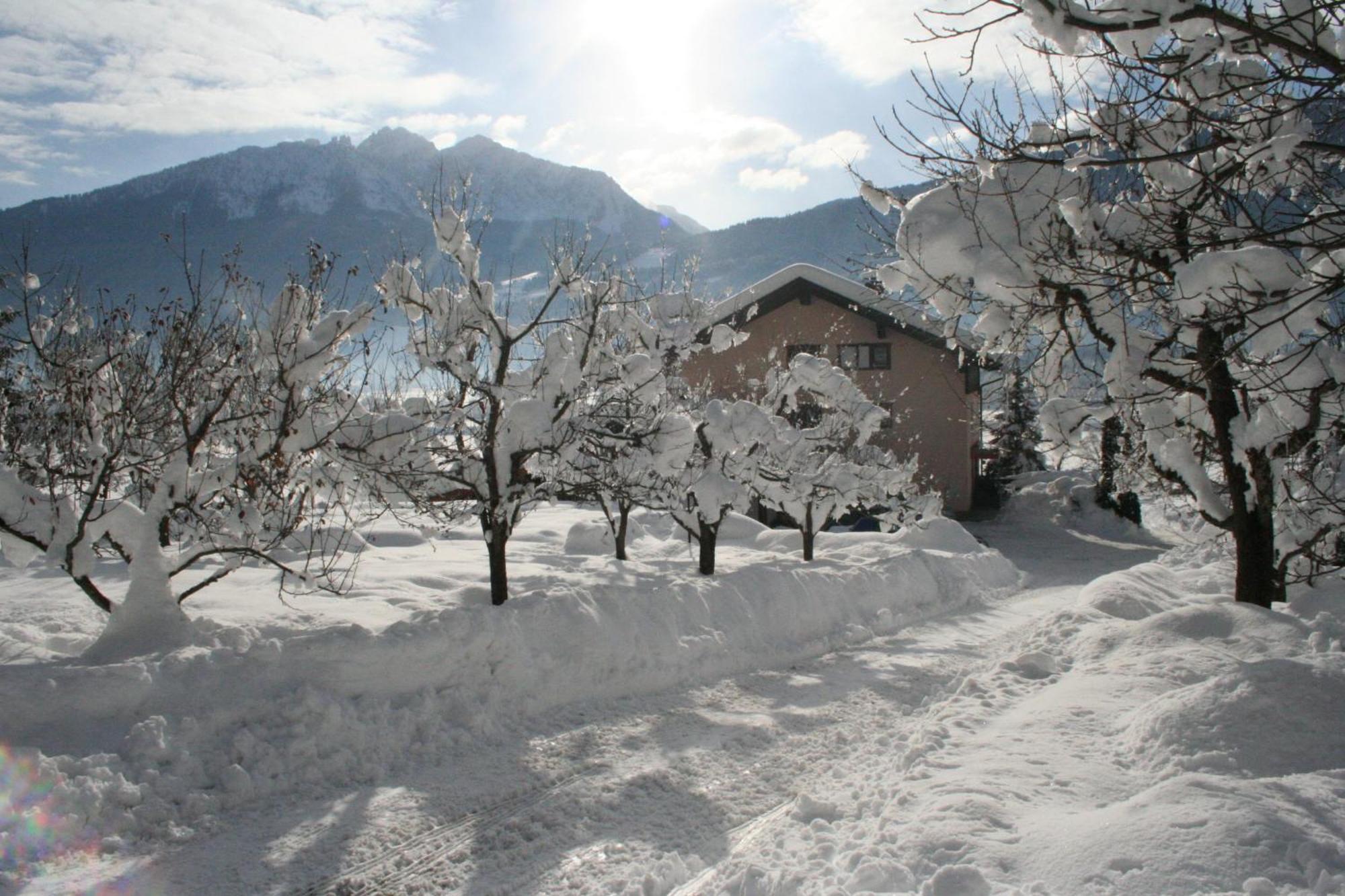 Enzianbrenner Hotel Jenig Exterior photo